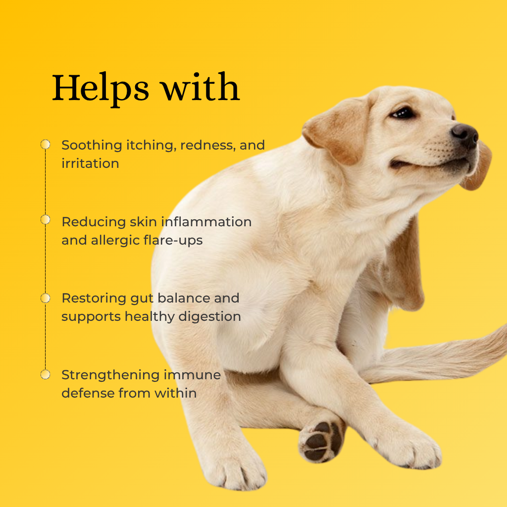 H&JIN Barrier – Allergy Relief Probiotic for Dogs & Cats
