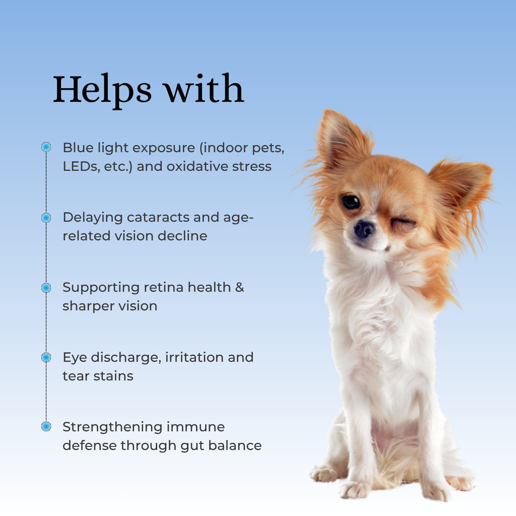 H&JIN Clear – Eye Care Probiotic for Dogs & Cats