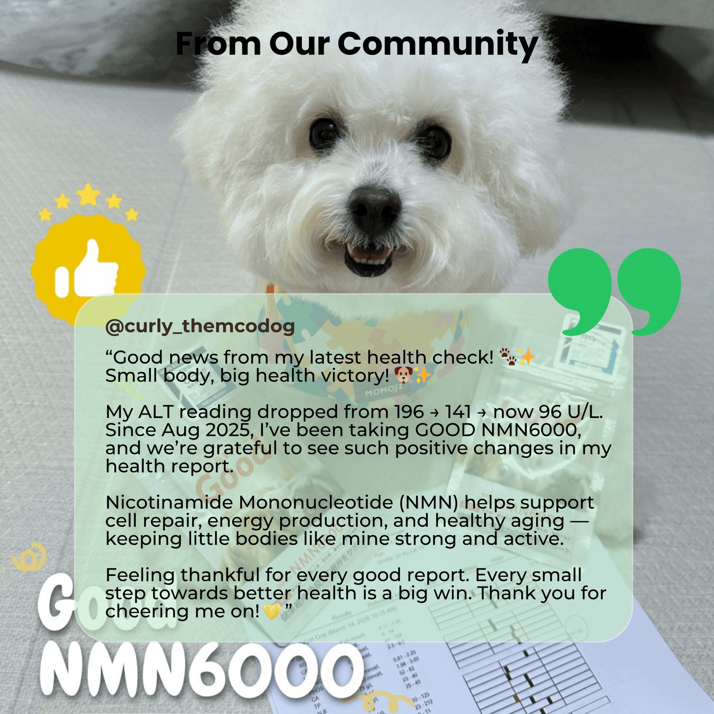 Morerich Good NMN6000 for Dogs & Cats