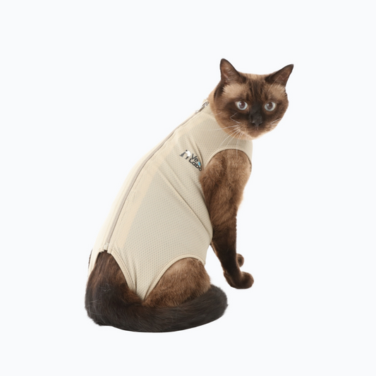 Vet's Wear: Protective Skin-tight Suit for Cats