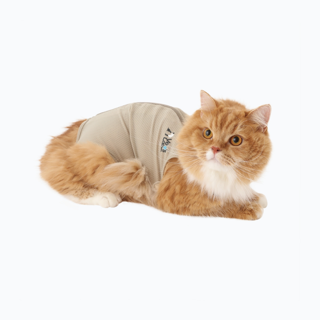 Vet's Wear: Protective Skin-tight Suit for Cats