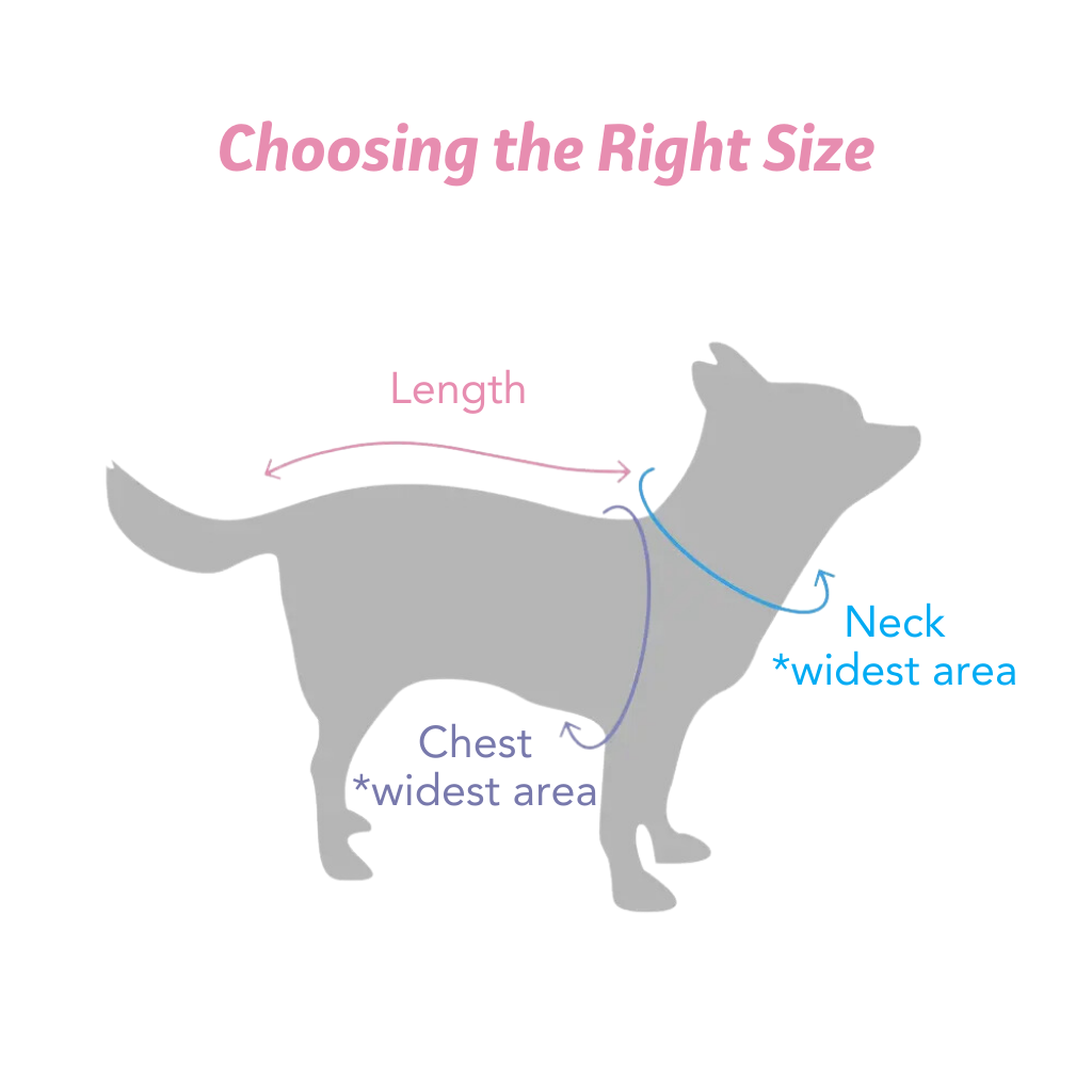 Vet's Wear: Post-Surgery and Protective Skin-tight Suit for Female Dogs