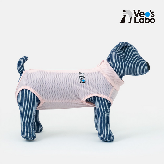 Vet's Wear: Post-Surgery and Protective Skin-tight Suit for Female Dogs