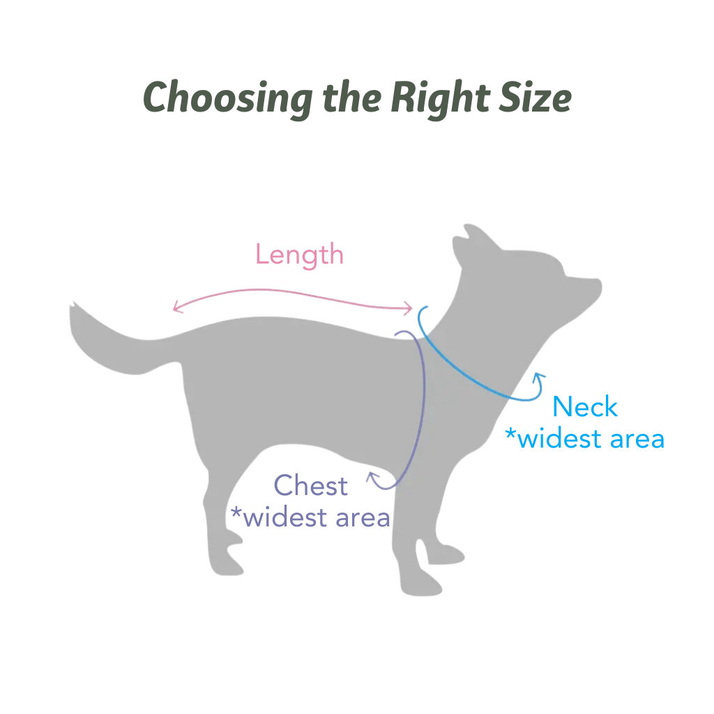 Vet's Wear: Post-Surgery and Protective Skin-tight Suit for Male Dogs