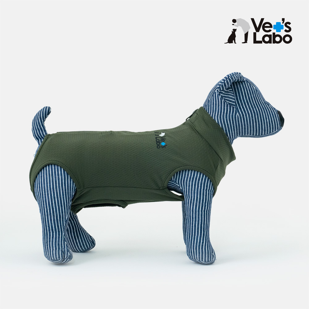 Vet's Wear: Post-Surgery and Protective Skin-tight Suit for Male Dogs