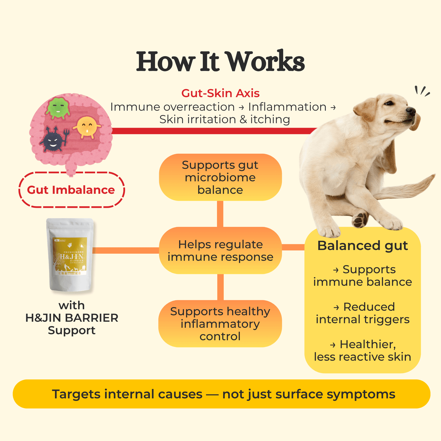 H&JIN BARRIER – Allergy Relief Probiotic for Dogs & Cats
