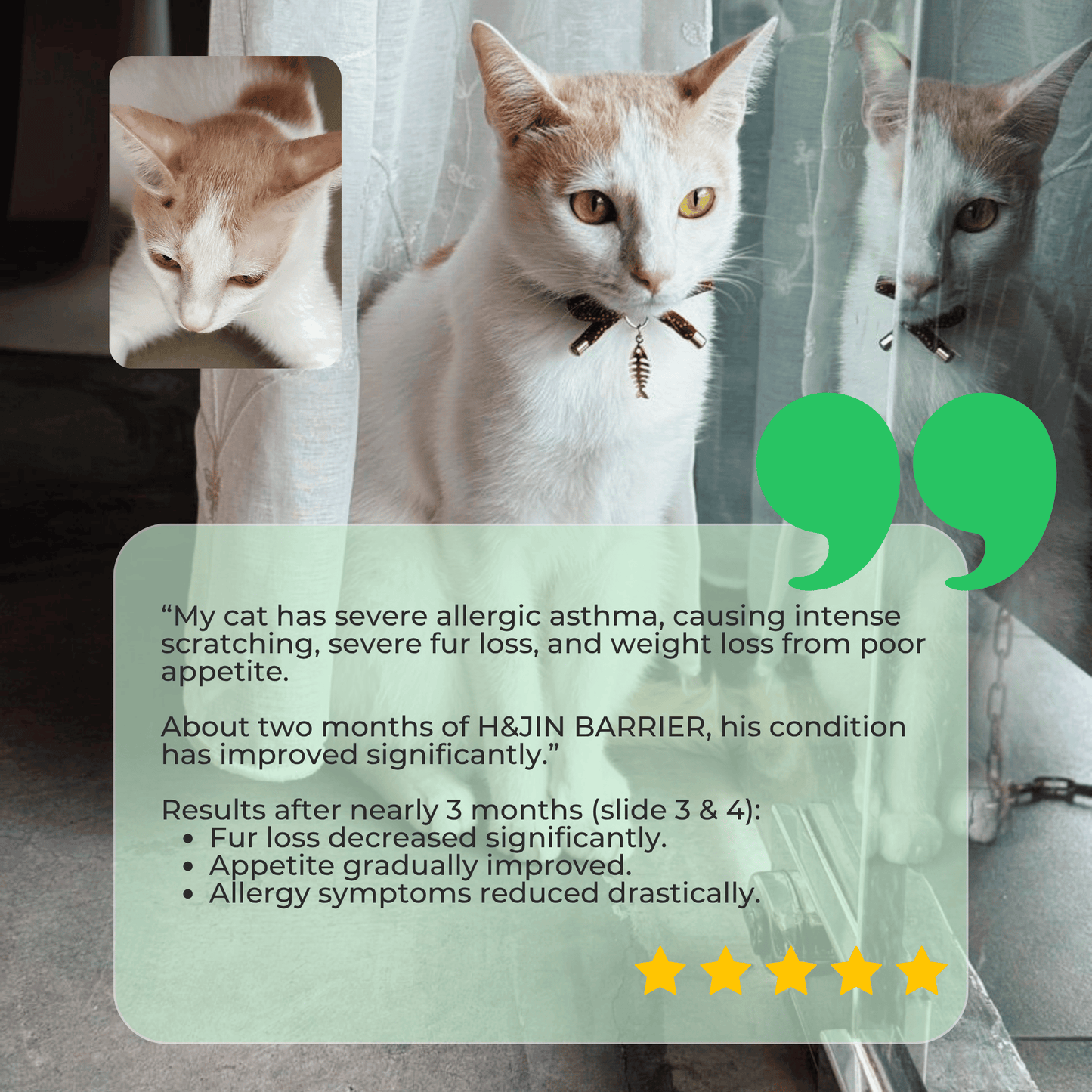 H&JIN BARRIER – Allergy Relief Probiotic for Dogs & Cats