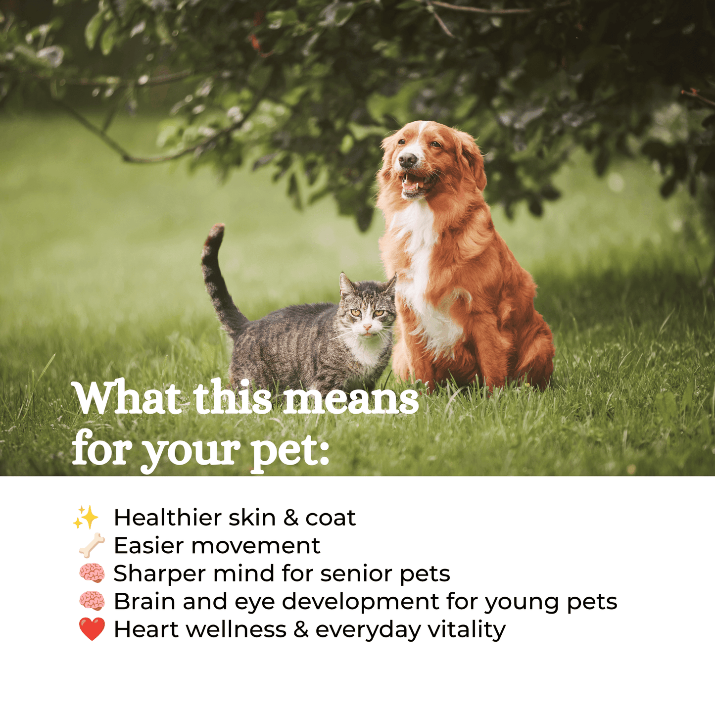 Monolith Antarctic Krill Oil for Dogs & Cats
