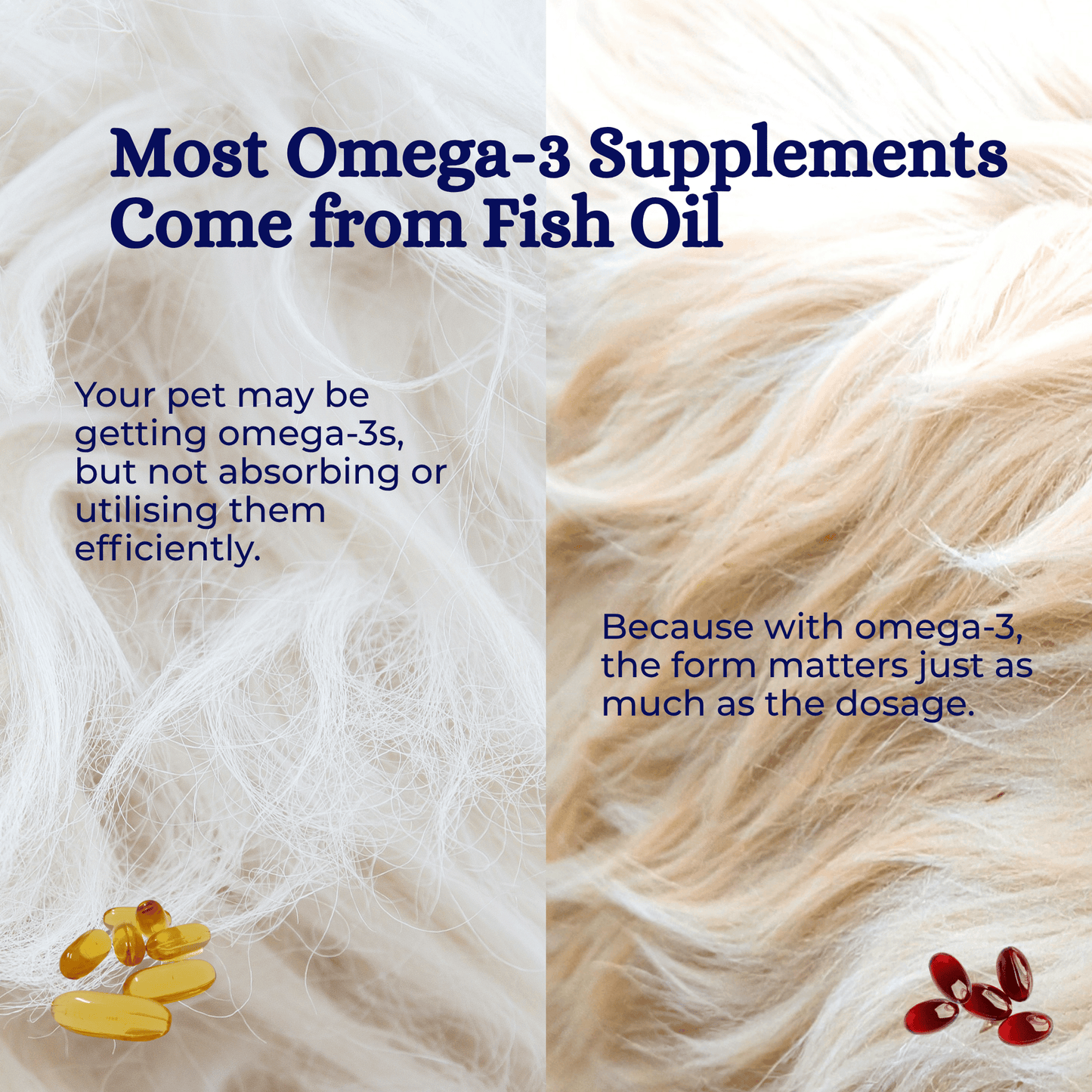Monolith Antarctic Krill Oil for Dogs & Cats