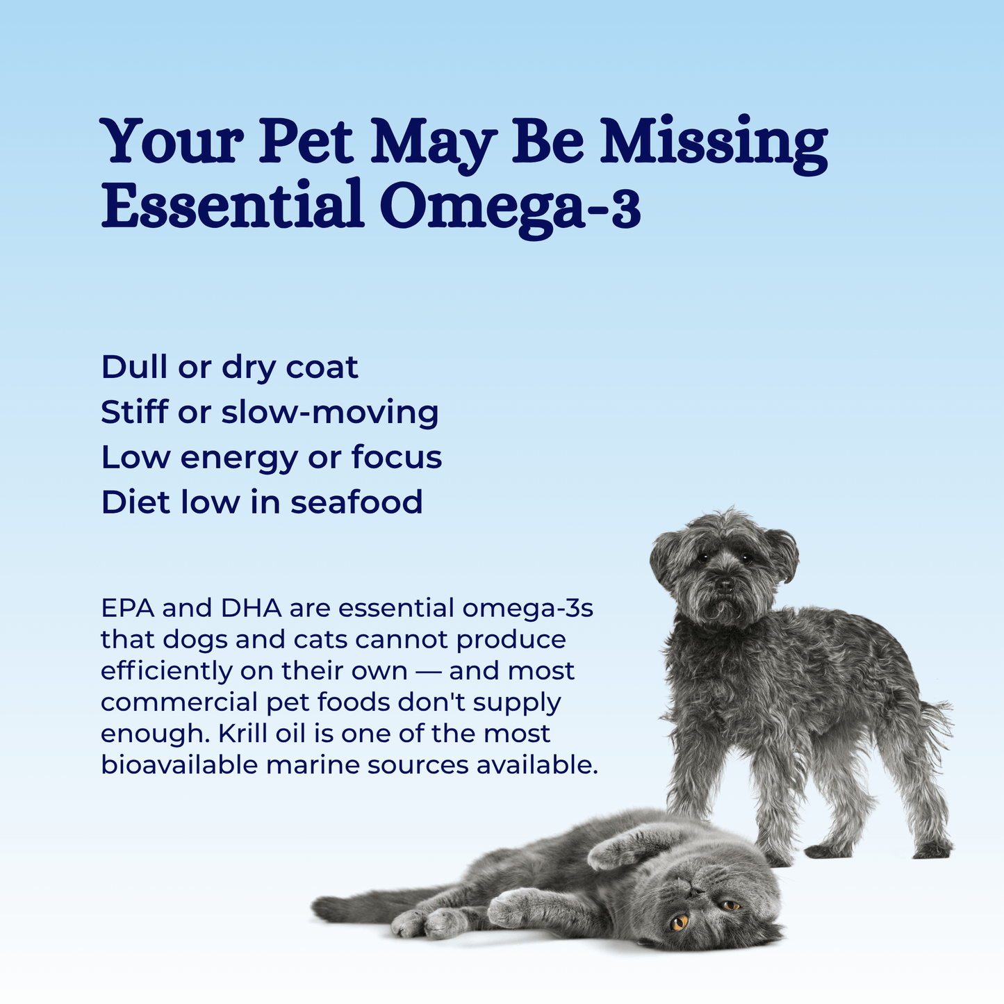 Monolith Antarctic Krill Oil for Dogs & Cats