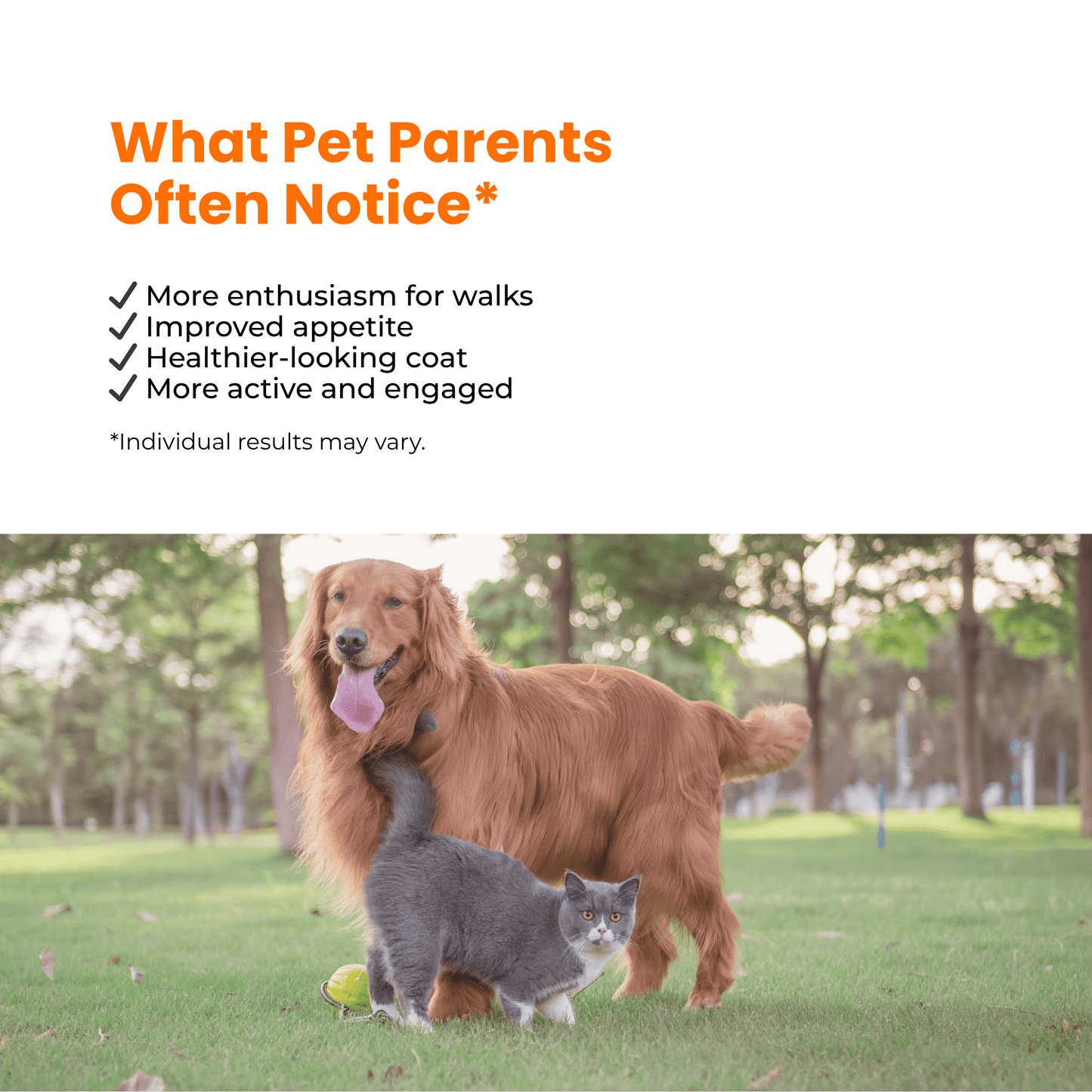 Morerich Good NMN6000 for Dogs & Cats