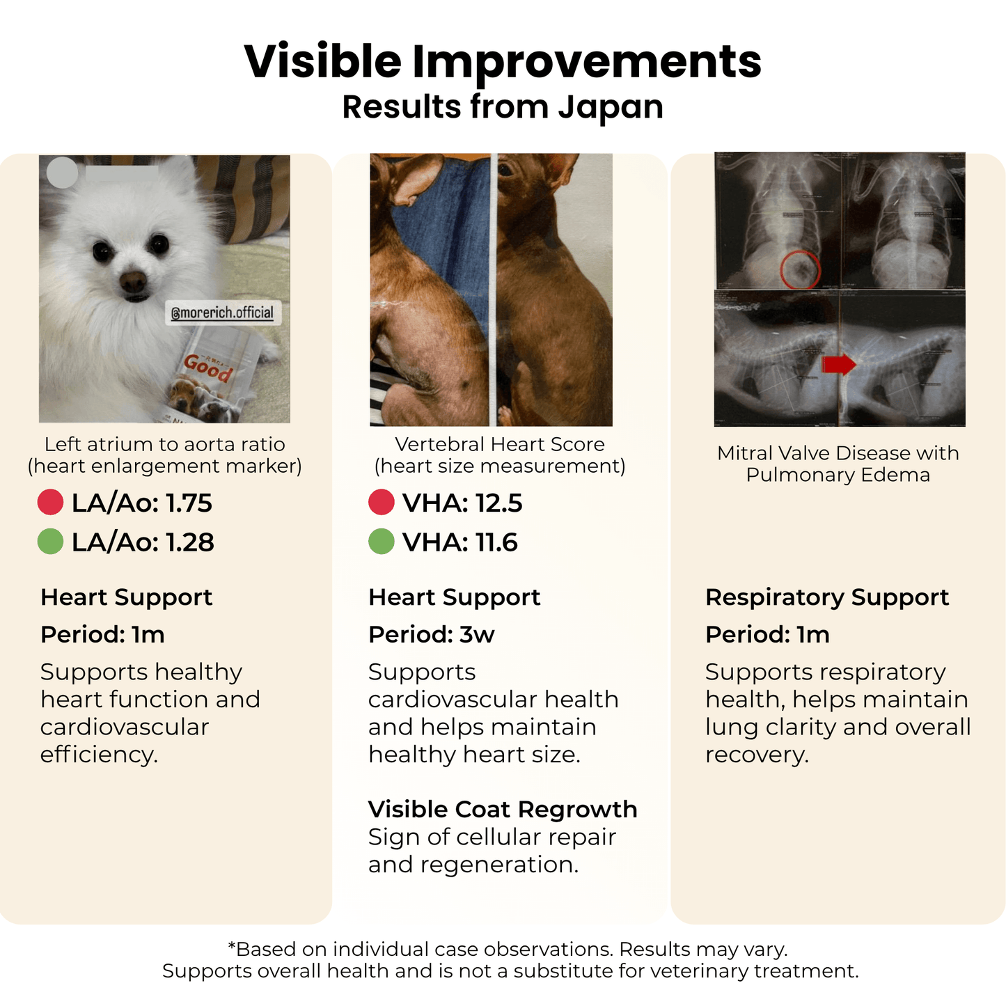 Morerich Good NMN6000 for Dogs & Cats