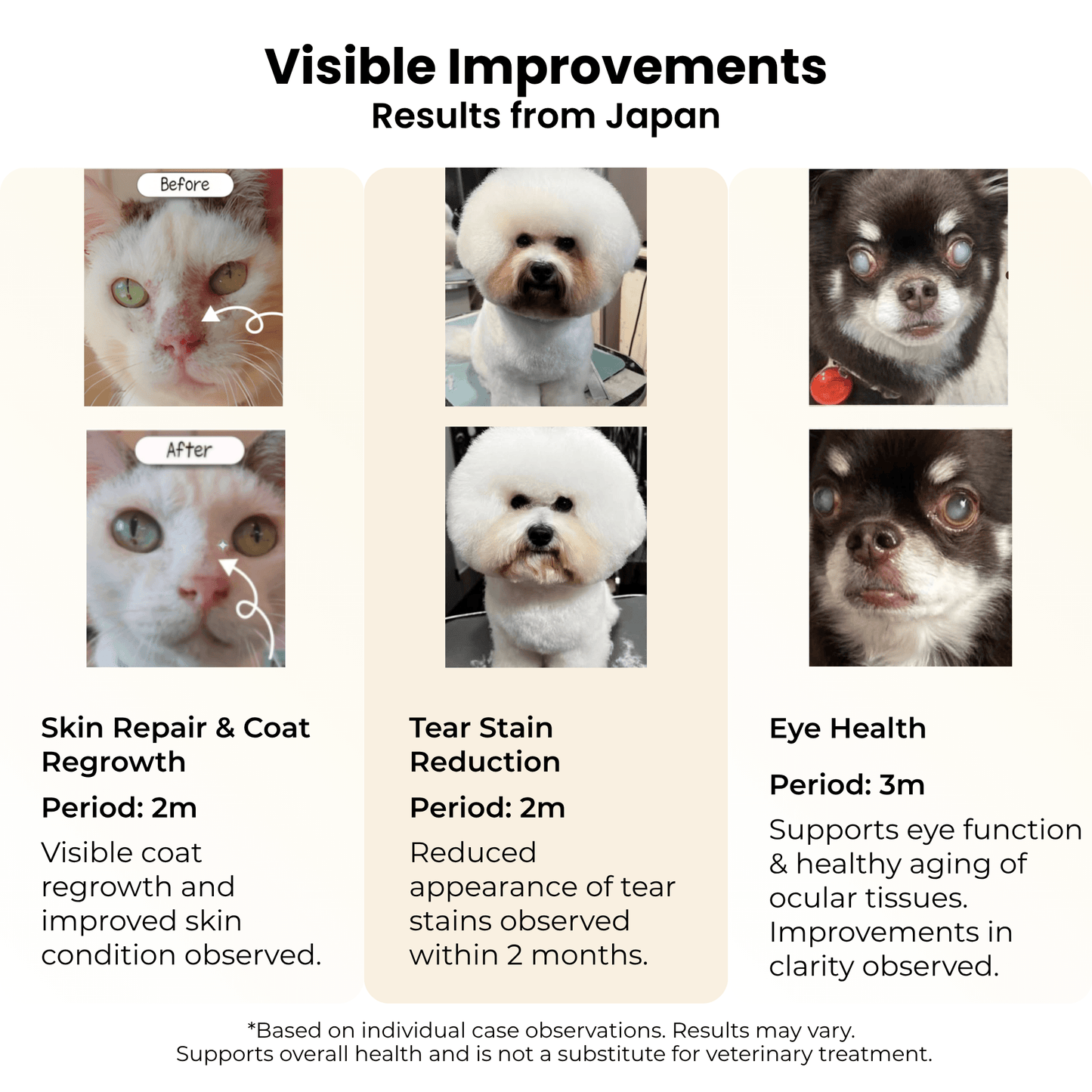 Morerich Good NMN6000 for Dogs & Cats