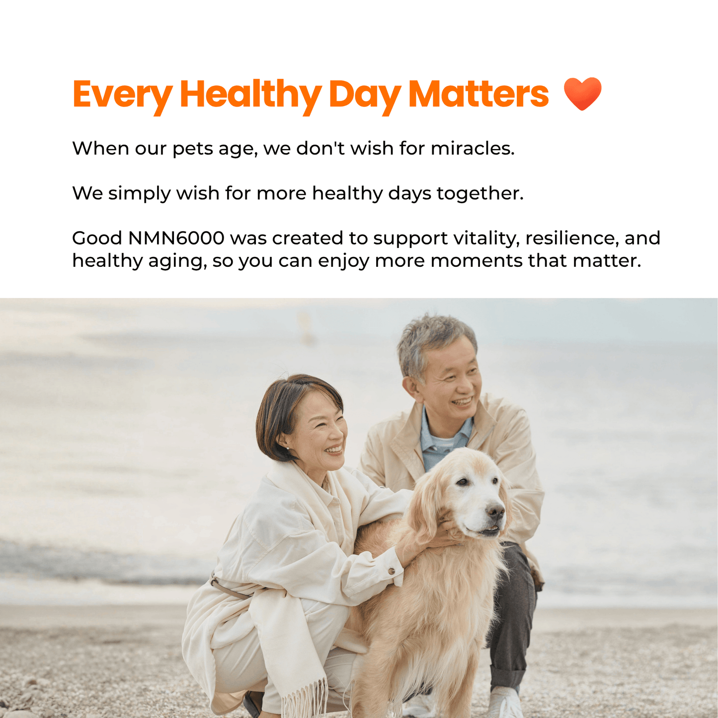 Morerich Good NMN6000 for Dogs & Cats