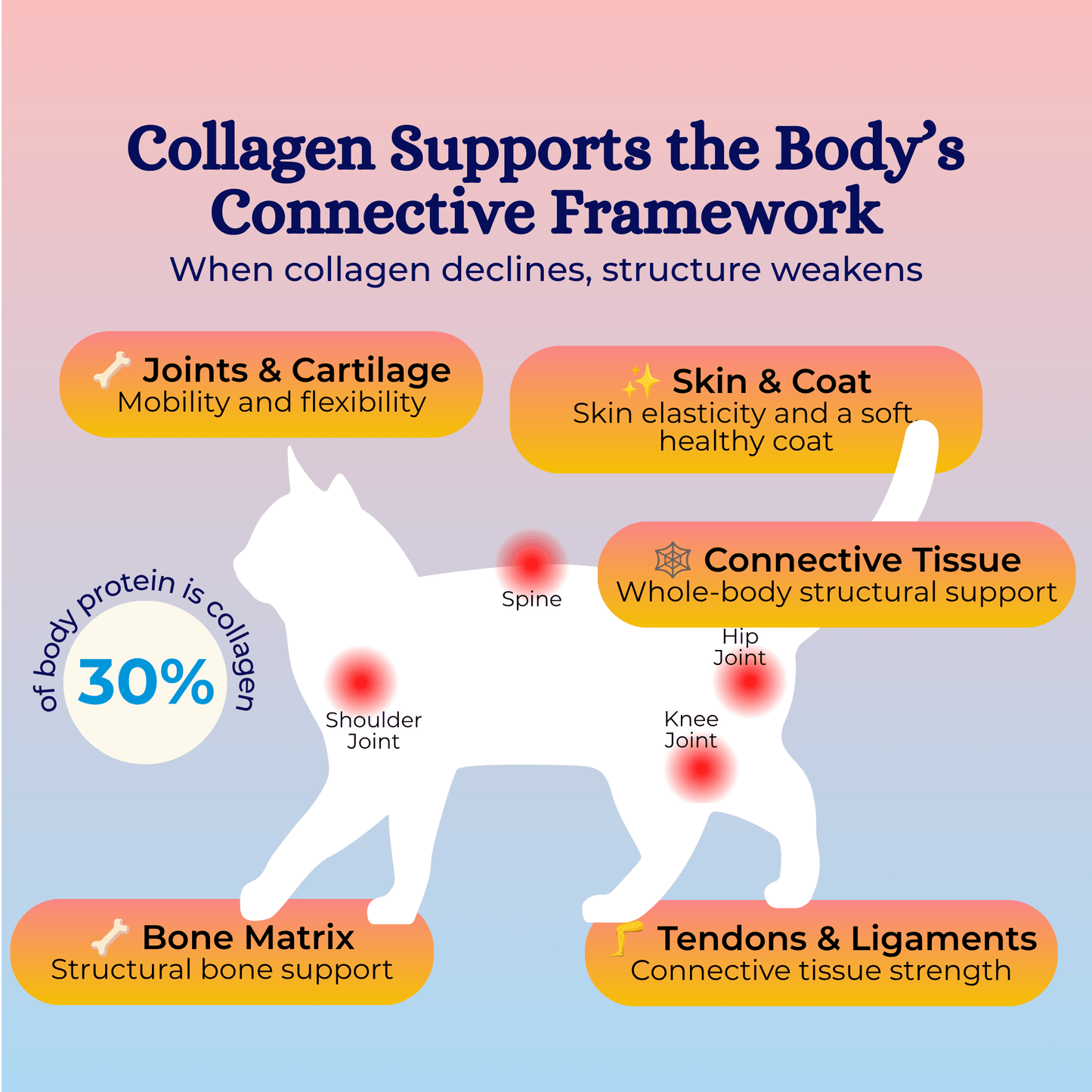 nippi Collagen for Cats
