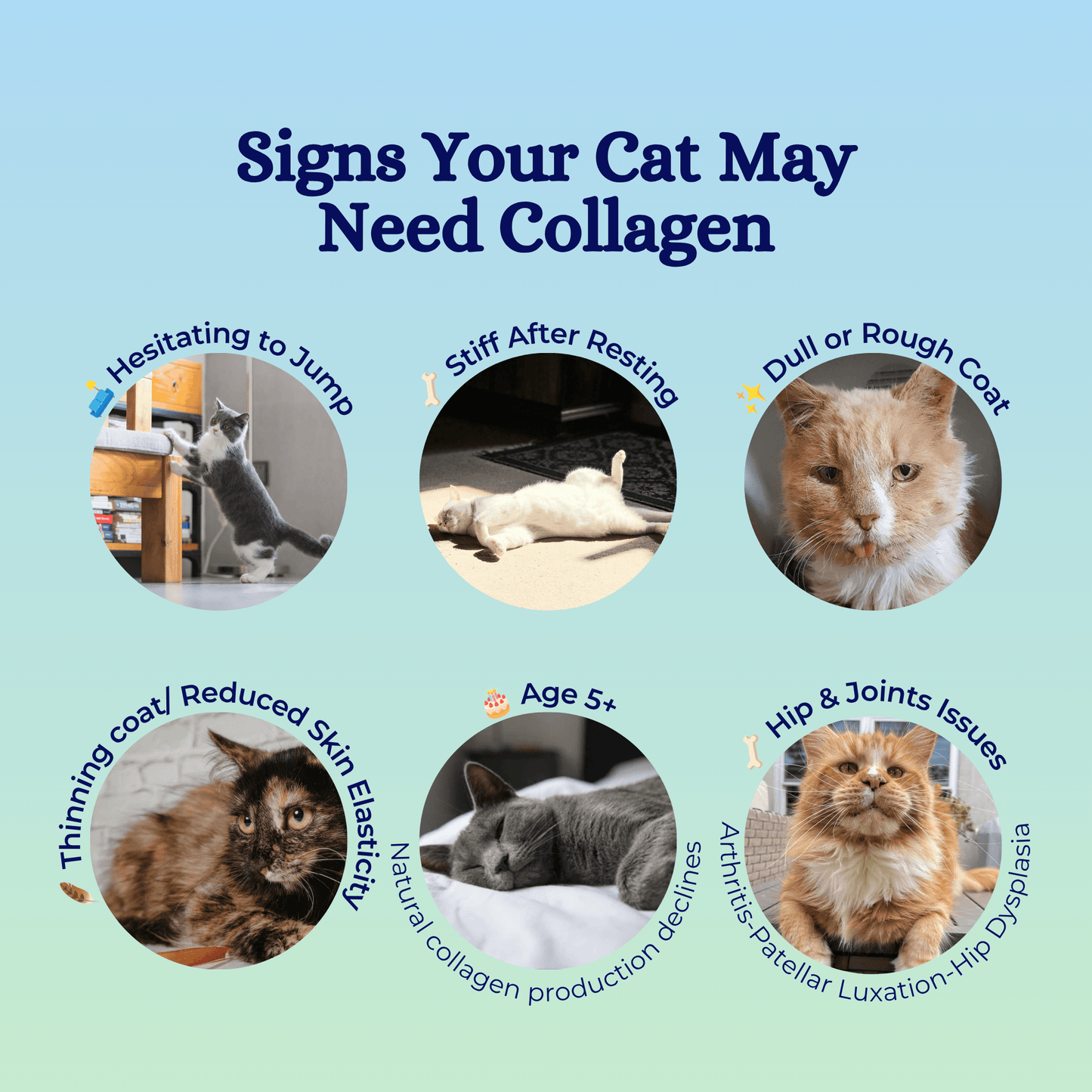 nippi Collagen for Cats