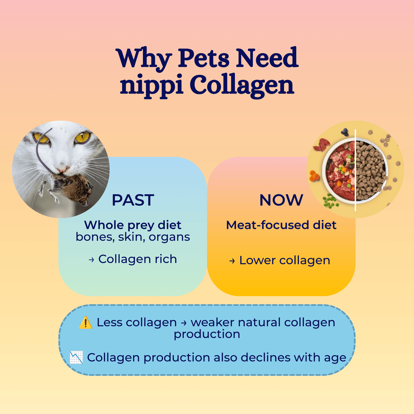 nippi Collagen for Cats