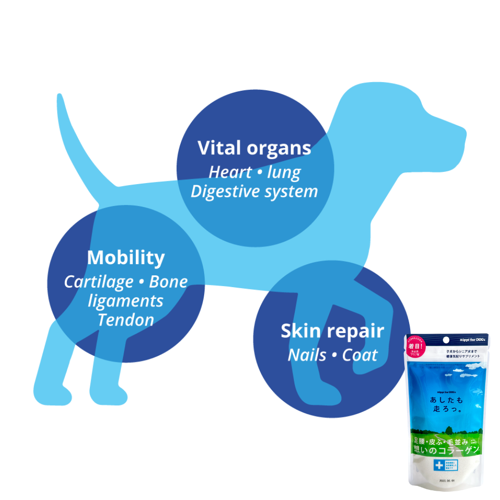 nippi Collagen for Dogs Starter Pack