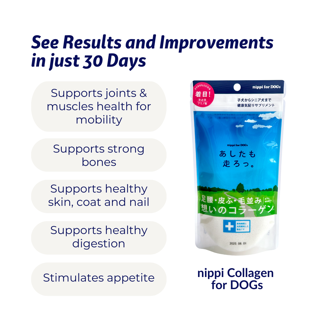 nippi Collagen for Dogs Starter Pack