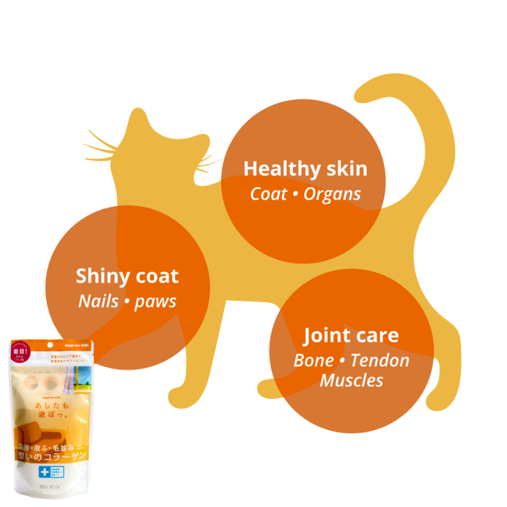 nippi Collagen for Cats Starter Pack