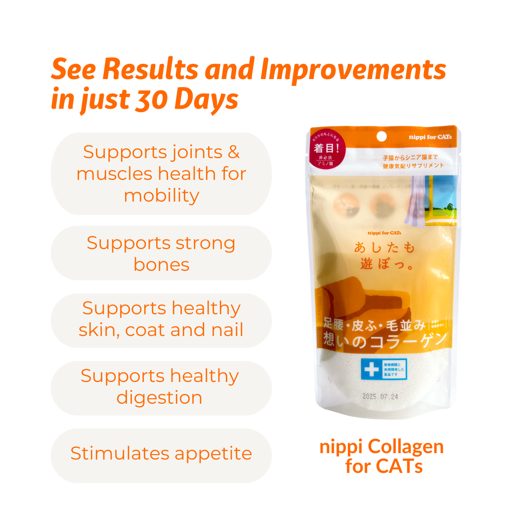 nippi Collagen for Cats