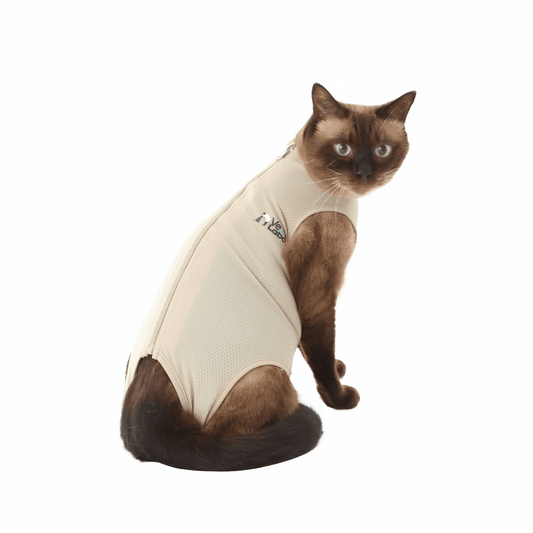 Vet's Wear: Post Surgery Recovery Suit for Cats