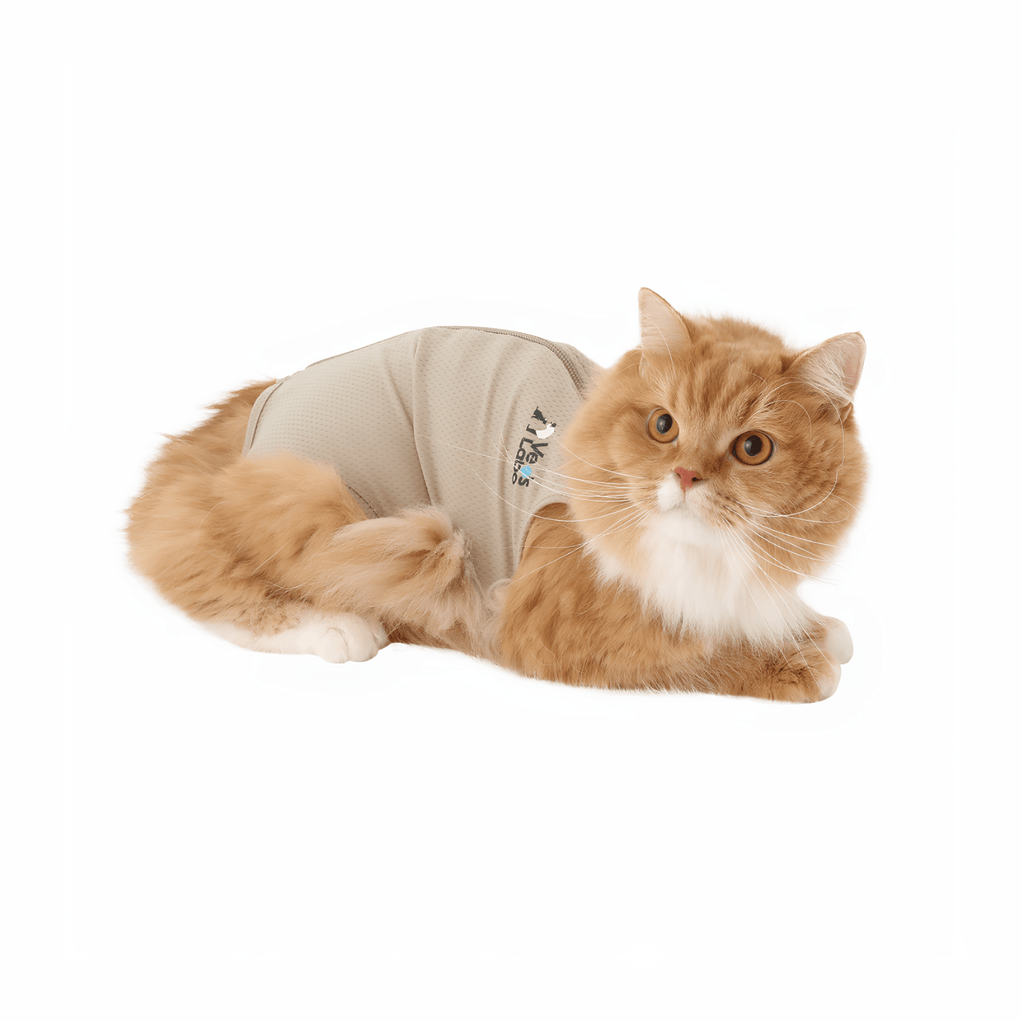 Vet's Wear: Post Surgery Recovery Suit for Cats