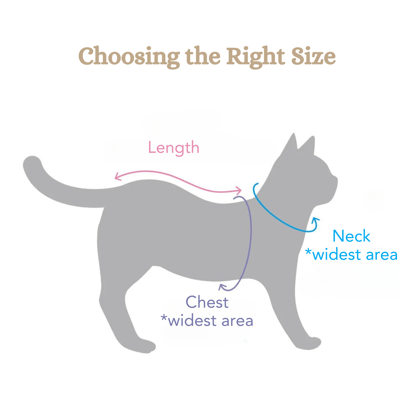 Vet's Wear: Post Surgery Recovery Suit for Cats
