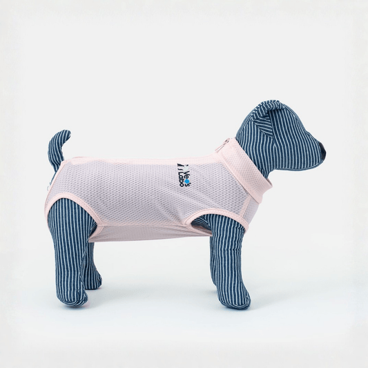 Vet's Wear: Post-Surgery Recovery Suit for Female Dogs