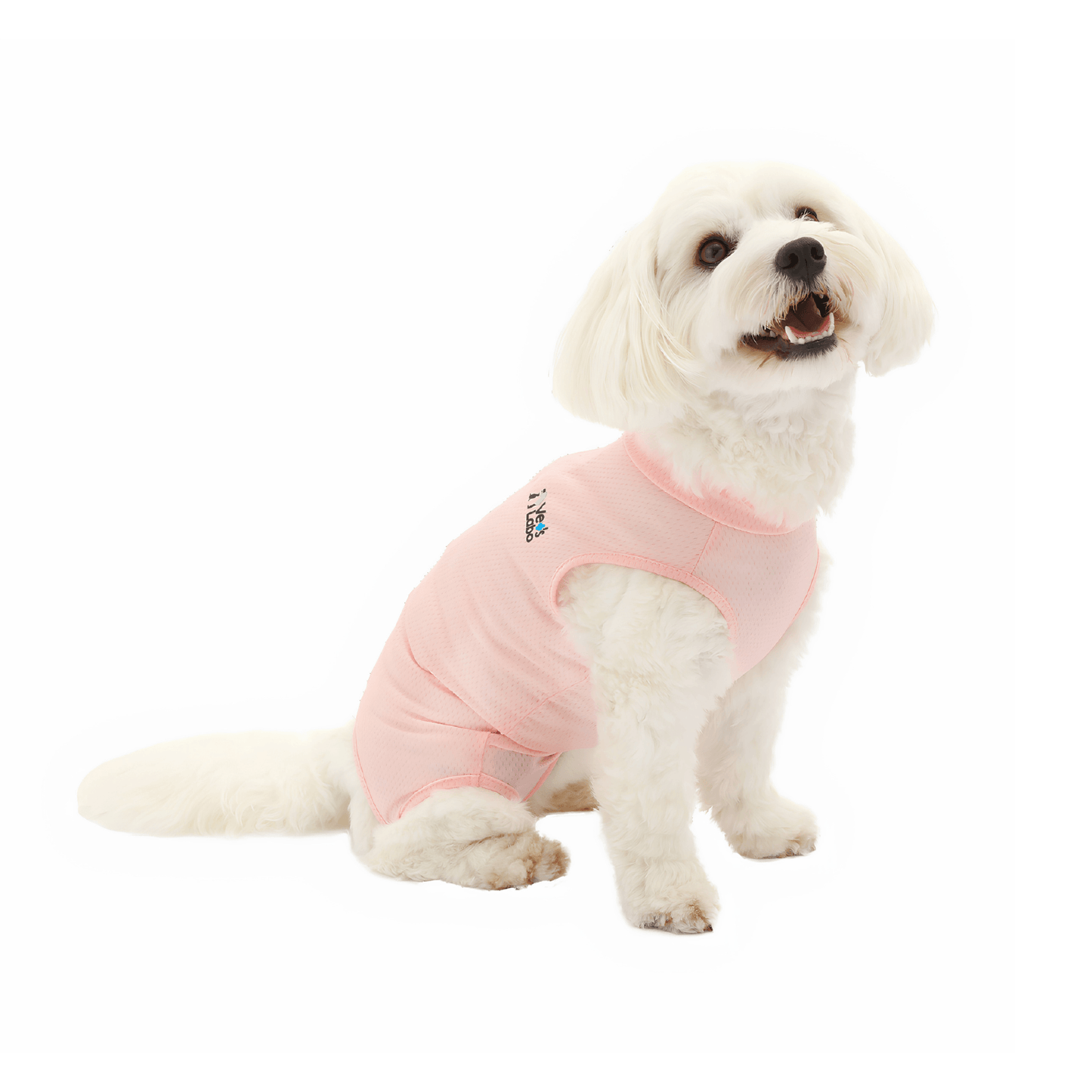 Vet's Wear: Post-Surgery Recovery Suit for Female Dogs