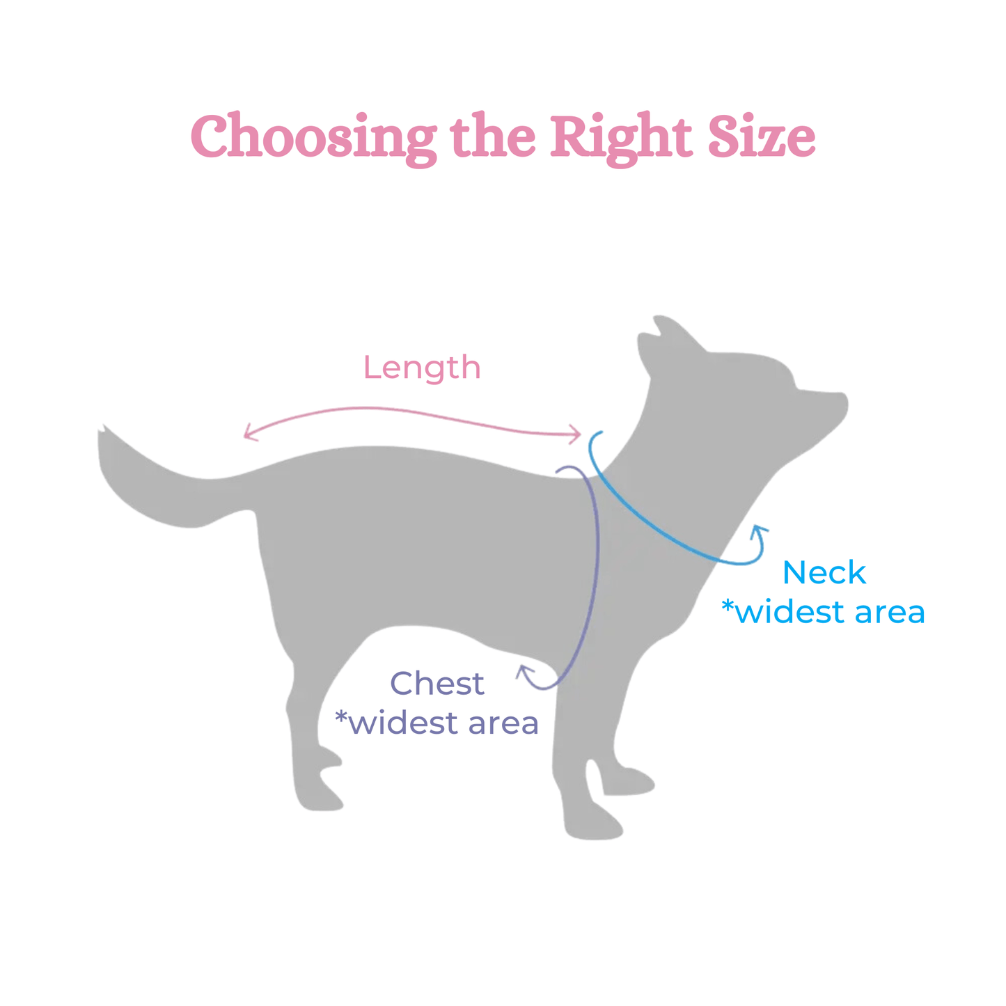 Vet's Wear: Post-Surgery Recovery Suit for Female Dogs