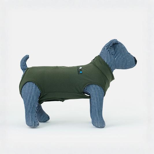 Vet's Wear: Post-Surgery Recovery Suit for Male Dogs