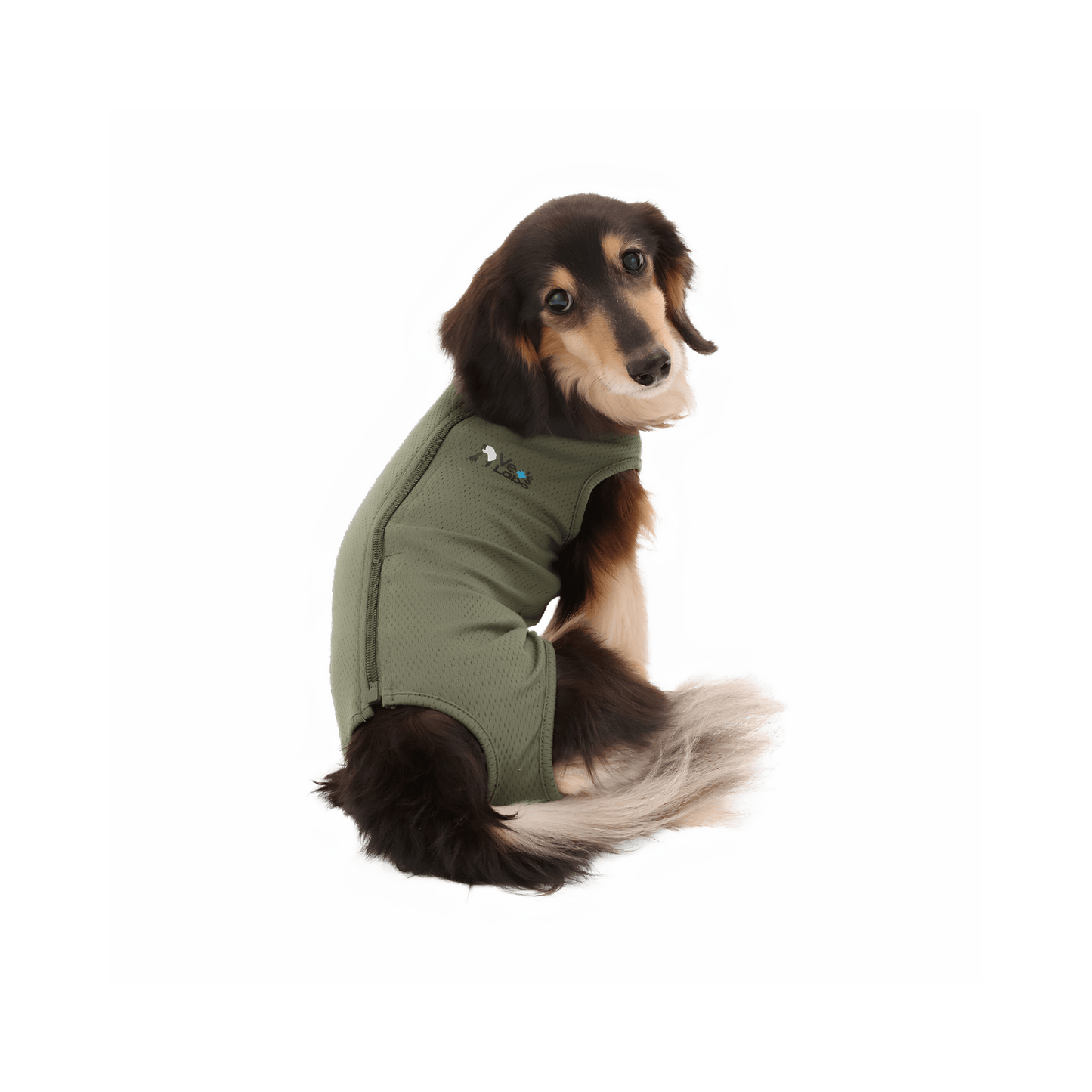 Vet's Wear: Post-Surgery Recovery Suit for Male Dogs