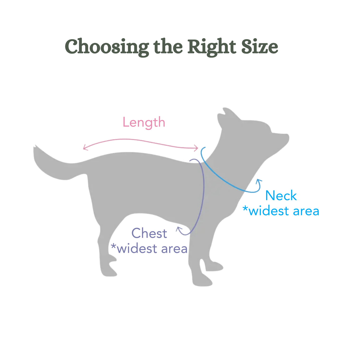 Vet's Wear: Post-Surgery Recovery Suit for Male Dogs
